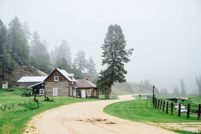 Cabin amidst trees and buildings against foggy sky