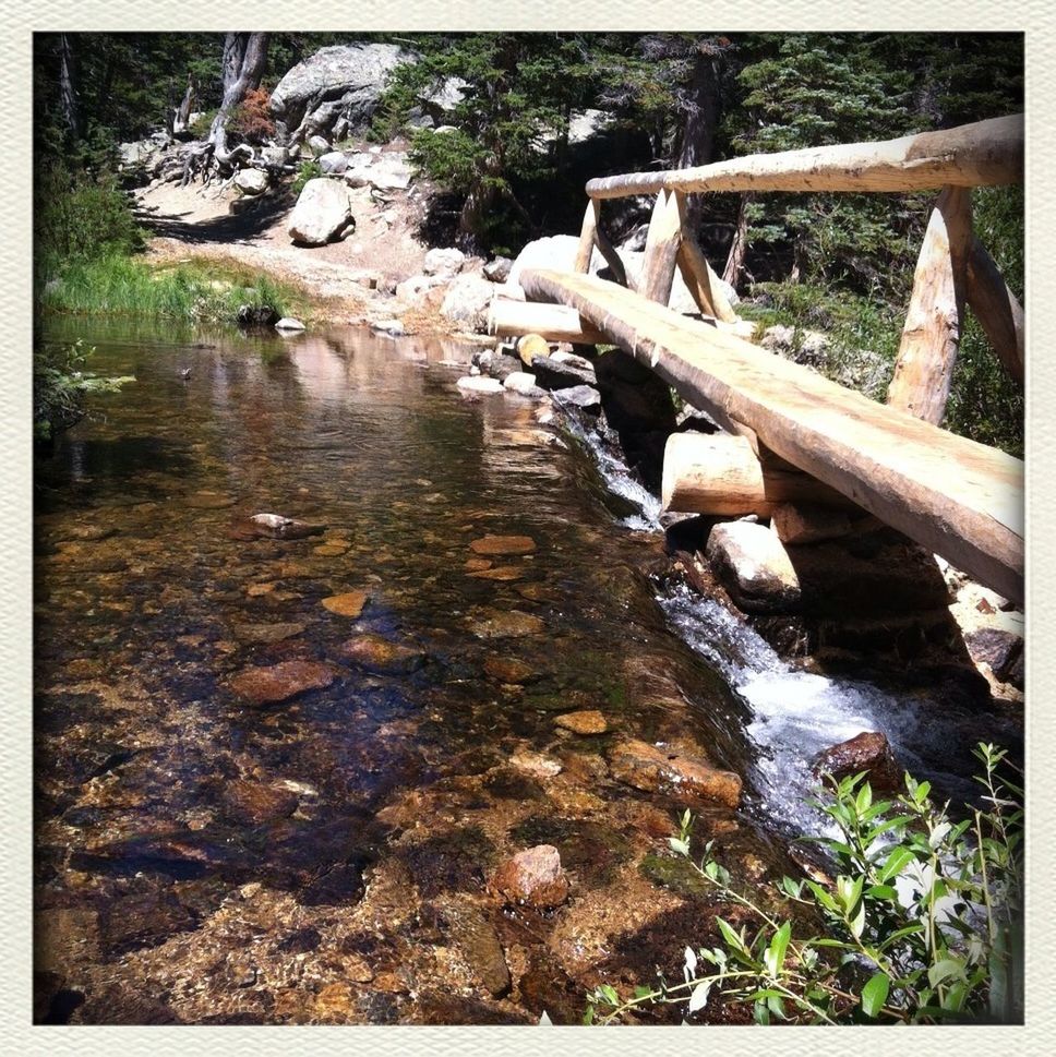 transfer print, water, auto post production filter, forest, tranquility, nature, stream, tree, wood - material, rock - object, tranquil scene, river, beauty in nature, day, high angle view, outdoors, plant, rock, scenics, no people