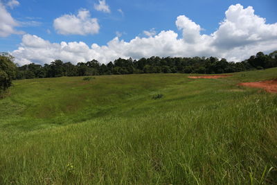 Scenic view of landscape against sky