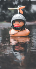 Close-up of figurine in water