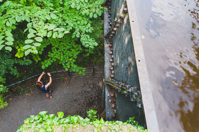 High angle view of woman on plants