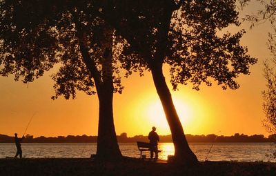 Silhouette of tree at beach during sunset