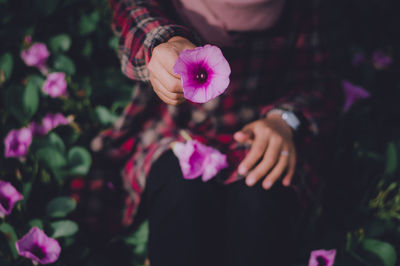 Midsection of woman holding pink flowering plant