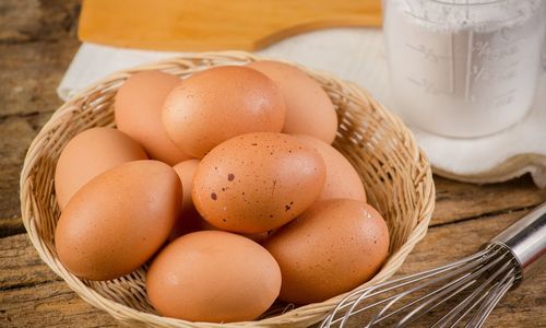 Close-up of eggs in container