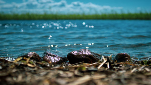 Close-up of water splashing on shore