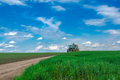 landscape