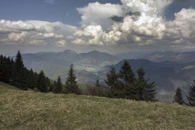 Scenic view of landscape against sky