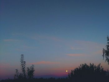 Silhouette plants against sky at dusk