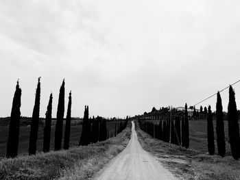 Panoramic view of wooden posts on field against sky