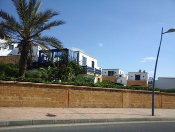 Palm trees by buildings against sky