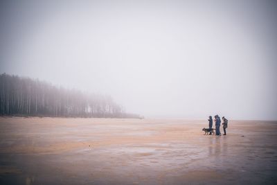 Scenic view of landscape