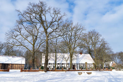 Trees on snow covered field against sky