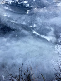Trees on landscape against sky