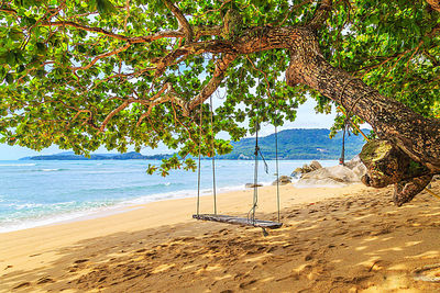 View of swing on beach