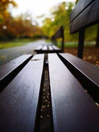 Close-up of bench in park