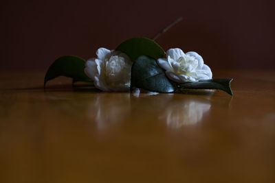 Close-up of ice cream on table