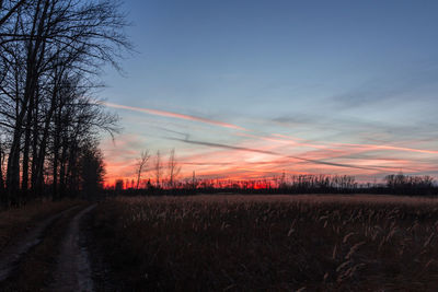 Scenic view of field against sky during sunset