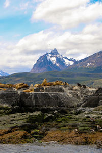 Scenic view of mountains against cloudy sky