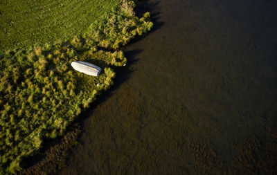 Wonderful view of solitary white wooden boat drying out on grassy beach of river