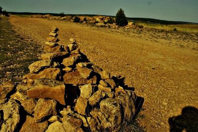 Scenic view of landscape