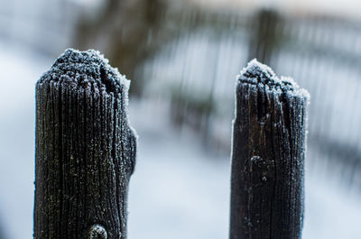 Close-up of snow