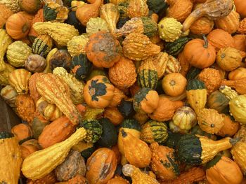 Full frame shot of pumpkins at market stall