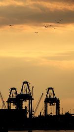 Silhouette birds flying against sky during sunset