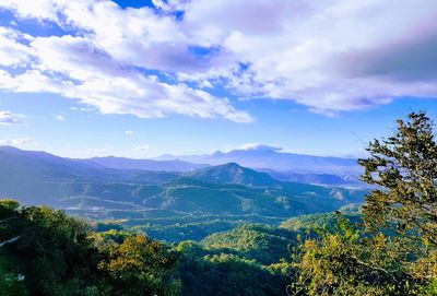 Scenic view of forest and mountains against sky