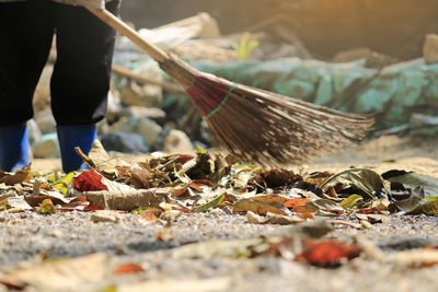 Low section of person with dry leaves on land