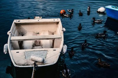 High angle view of moored boats 