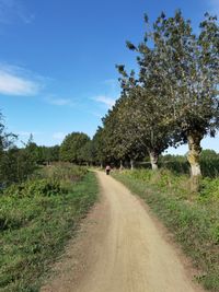 Dirt road amidst plants and trees against sky