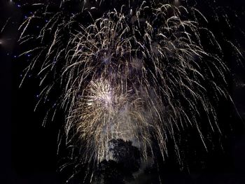 Low angle view of fireworks against sky at night