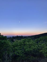 Scenic view of trees against clear sky