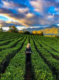 Rear view of woman standing at tea plantation against cloudy sky