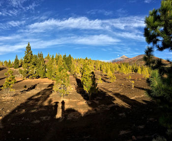 View of old ruins on landscape against cloudy sky