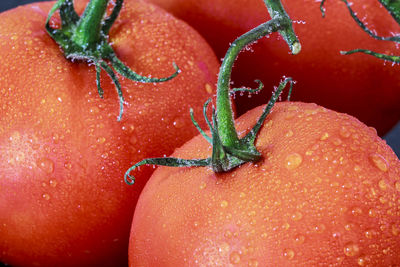 Close-up of water drops on fresh tomatoes