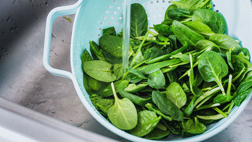 Washing salad baby spinach under the tap sink healthy eating without germs hygiene