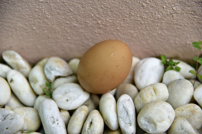 High angle view of eggs in container