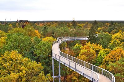 High angle view of park during autumn