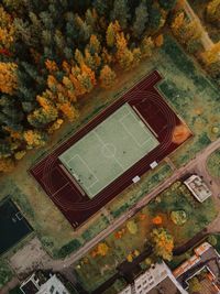 Drone view of soccer field by trees during autumn