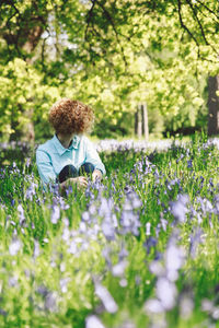 Woman sitting amidst purple flowering plants at forest