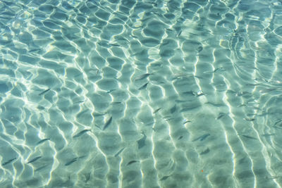 Full frame shot of swimming pool
