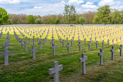 A lot of small, concrete crosses at the german war cemetery in the netherlands.