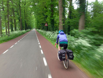Rear view of woman cycling on road in forest