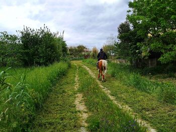 Horse ride in the green countryside