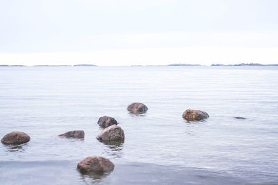 Rocks on sea shore against sky