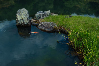 water