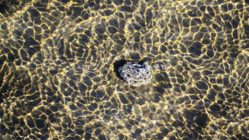 Full frame shot of water surface