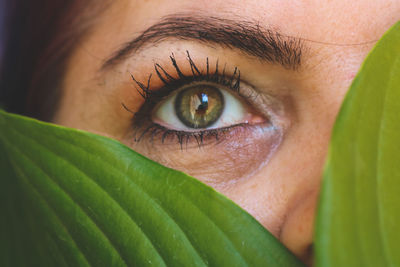 Close-up of human eye