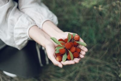 Midsection of person holding strawberry